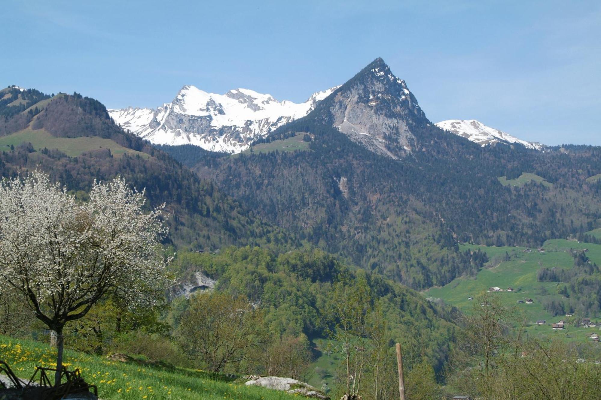 Landgasthof Grossteil Giswil Екстериор снимка