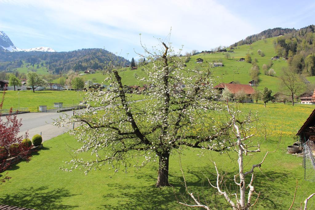 Landgasthof Grossteil Giswil Екстериор снимка