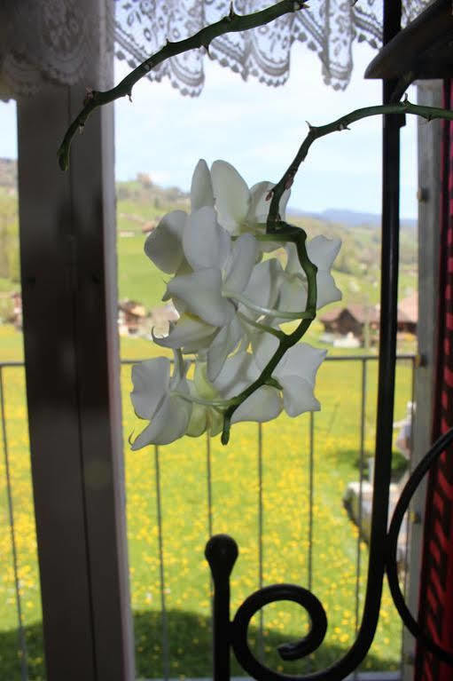 Landgasthof Grossteil Giswil Екстериор снимка